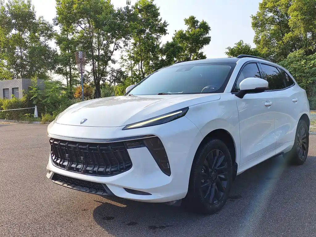 Dongfeng Fengxing T5 EVO 2021 — фото 1