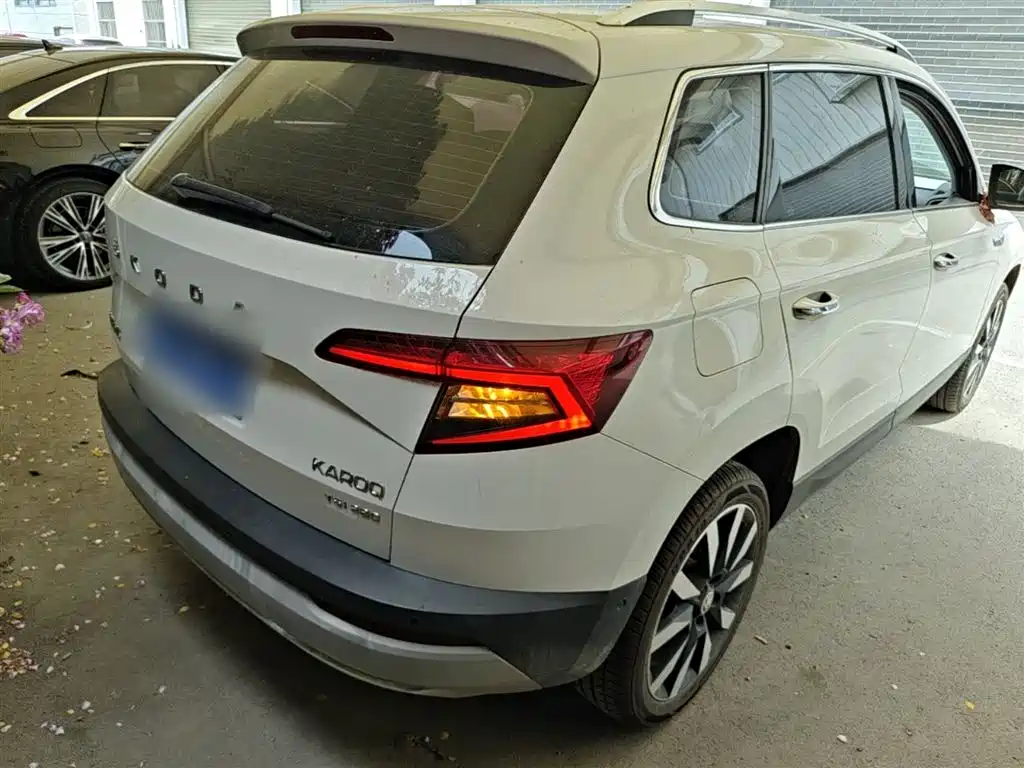 Skoda Karoq 2020 — фото 7