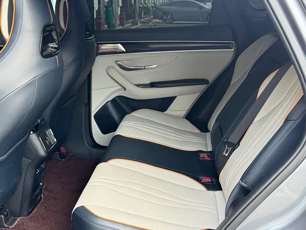 BYD Song PLUS New Energy 2023 — фото 9