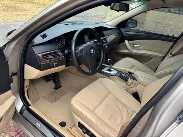 BMW 5 Series 2010