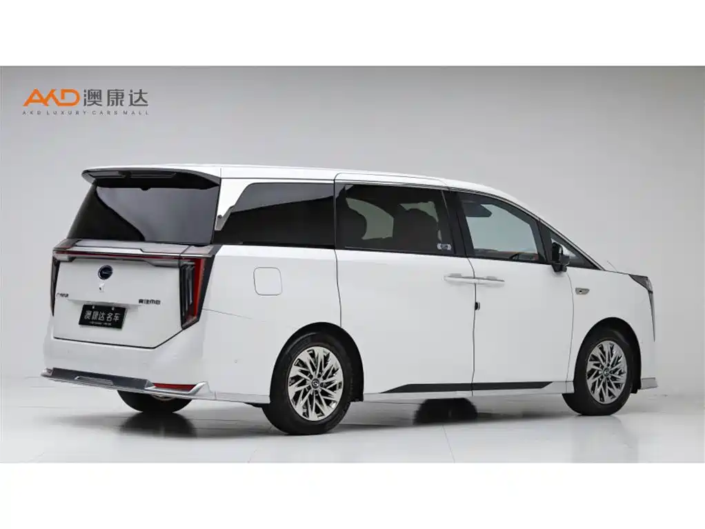 GAC Motor Xiangwang M8 2025 — фото 3