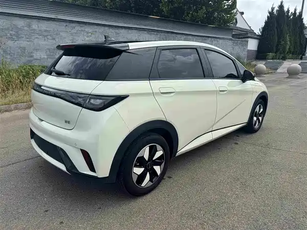 BYD Dolphin 2024