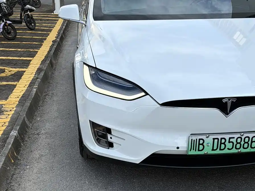 Tesla Model X 2020 — фото 5