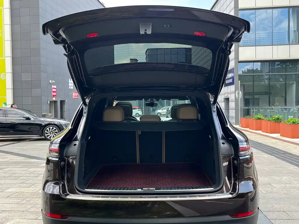 Porsche Cayenne 2019 — фото 25