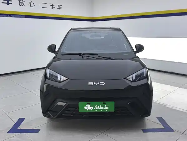 BYD Seagull 2024