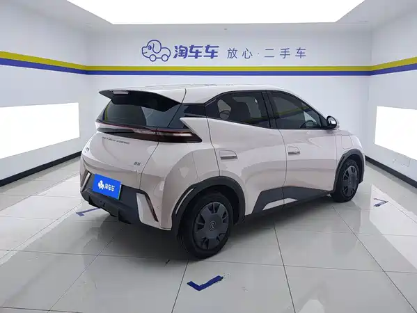 BYD Seagull 2024