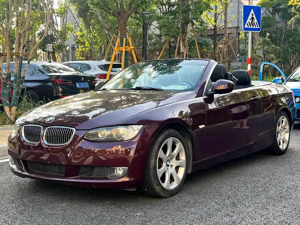 BMW 3 Series 2010 — фото 1