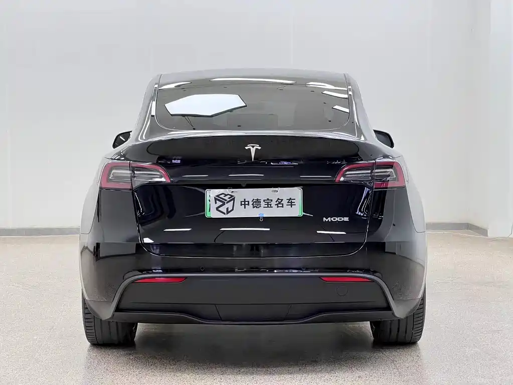 Tesla Model Y 2021 — фото 6