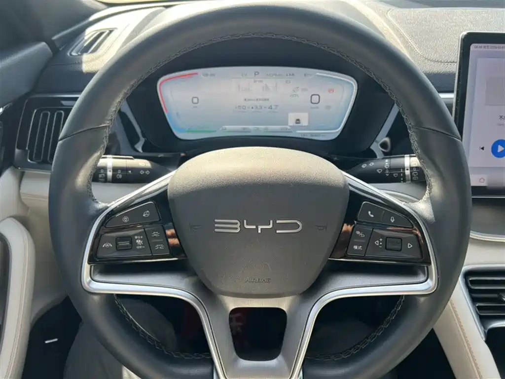 BYD PLUS New Energy 2023 — фото 3