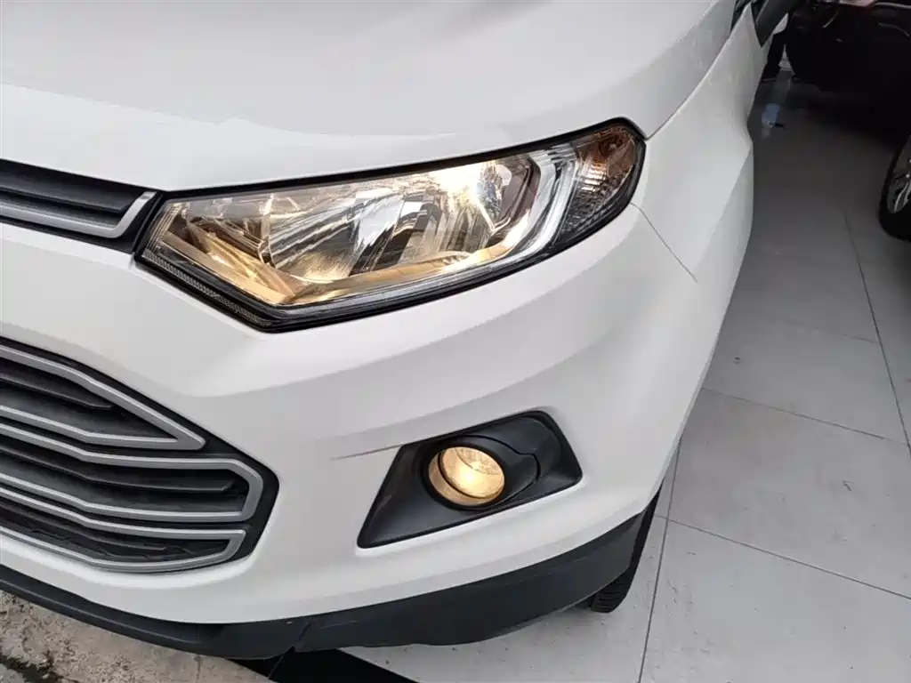 Ford Ecosport 2014 — фото 24