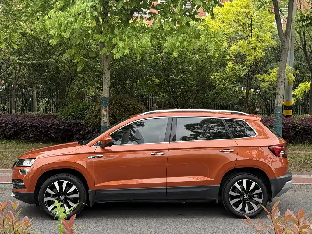 Skoda Karoq 2021 — фото 5