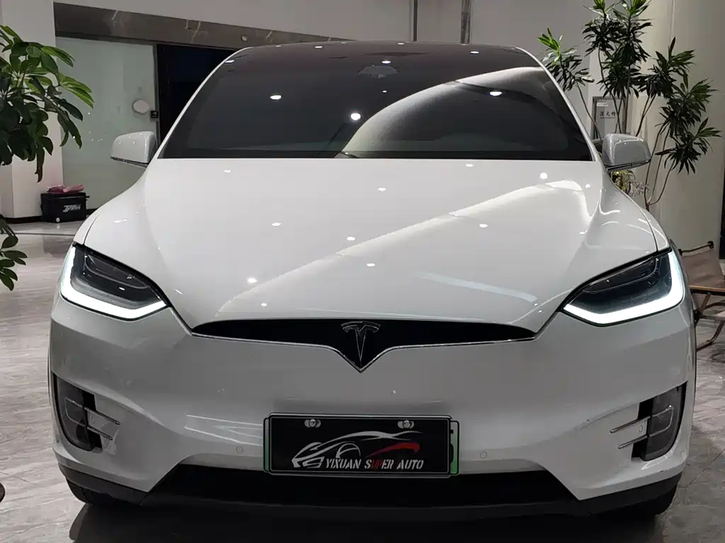 Tesla Model X 2020 — фото 3