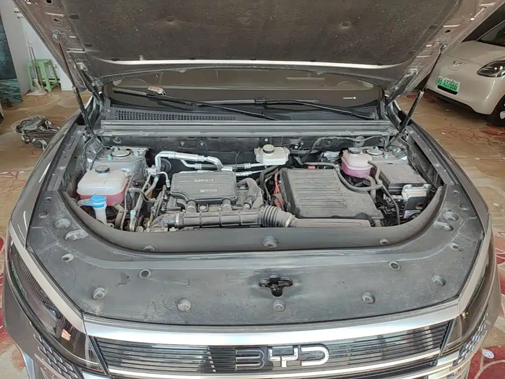 BYD Sealion 05 DM-i 2025 — фото 20
