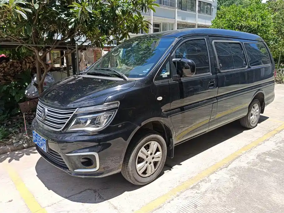 Fengxing Lingzhi 2022