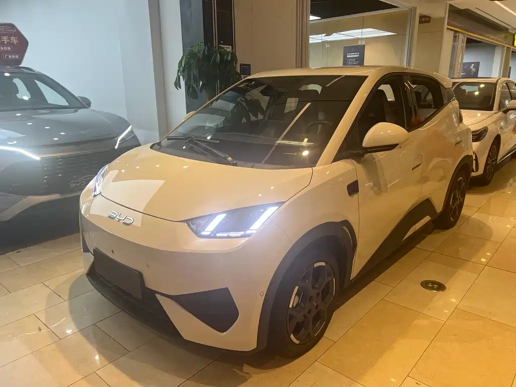 BYD Seagull 2025