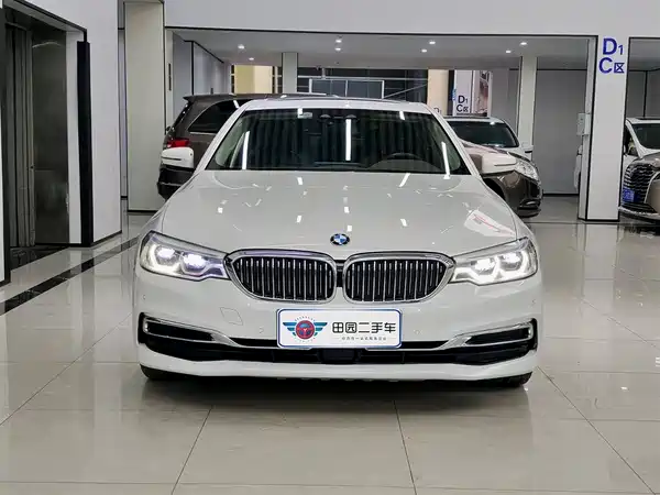 BMW 5 Series New Energy 2020
