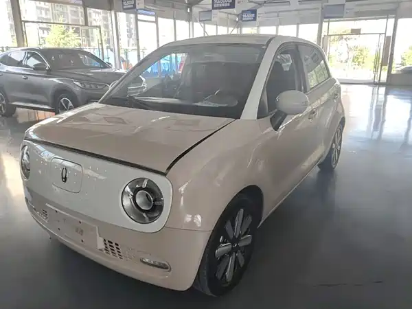 Ora Black Cat 2021
