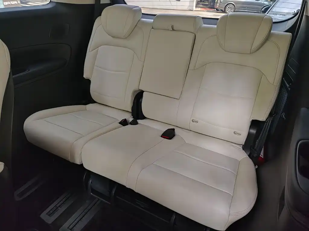 GAC Motor Trumpchi E9 2023 — фото 8