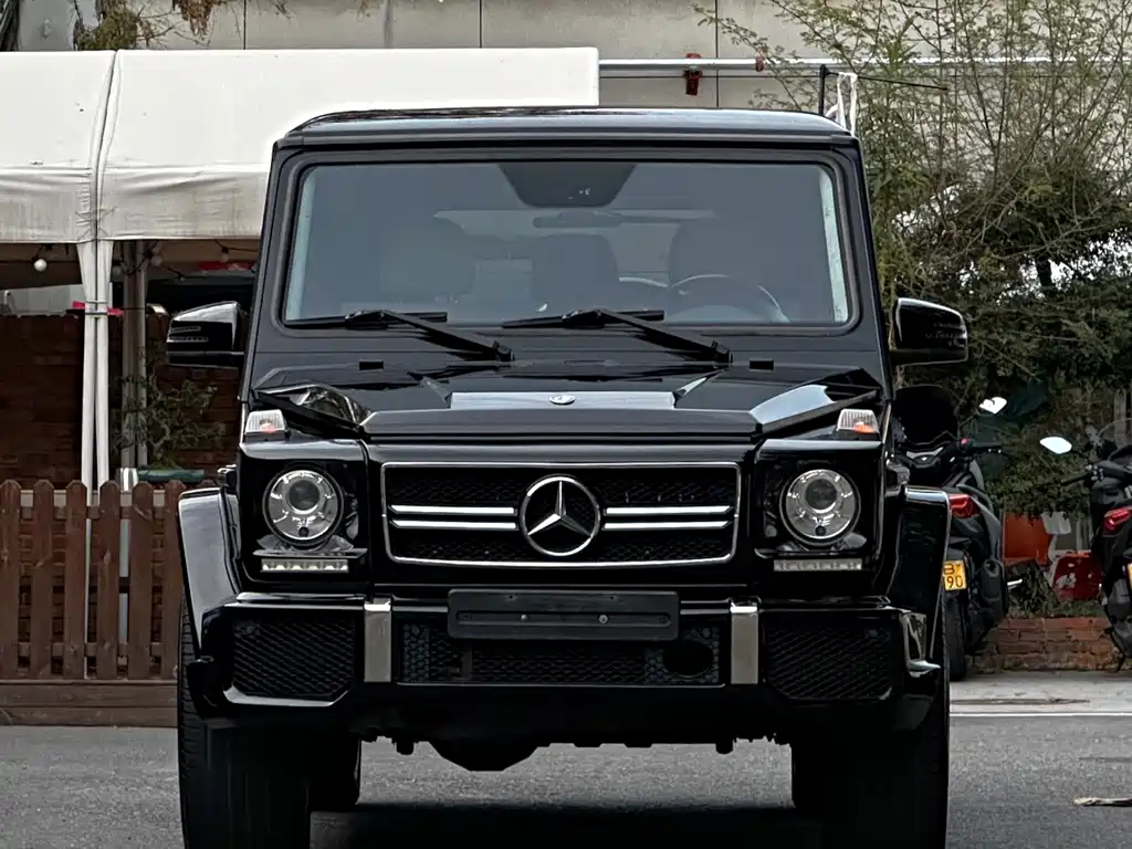 Mercedes-Benz G-Class 2010 — фото 2