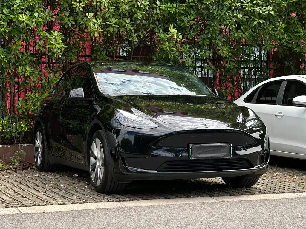 Tesla Model Y 2023 — фото 3