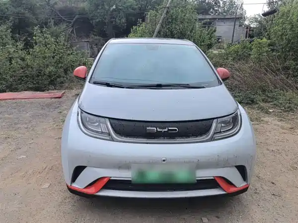 BYD Dolphin 2021