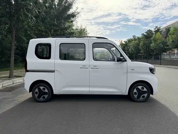 Wuling Zhiguang New Energy 2026