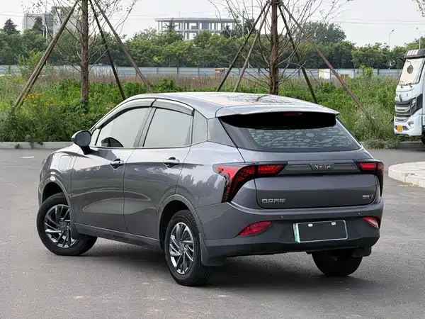 Neta V 2022
