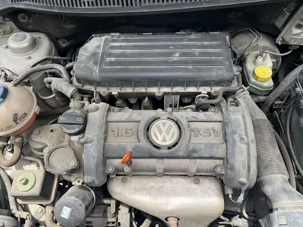 Volkswagen Polo 2010