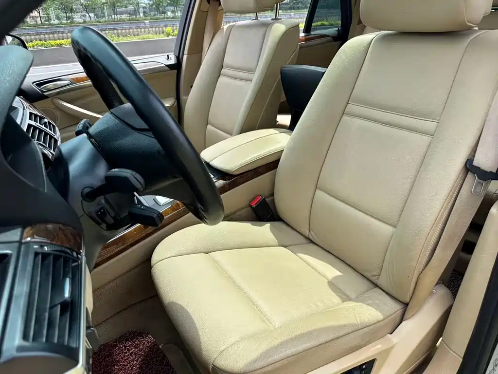 BMW X5 2010