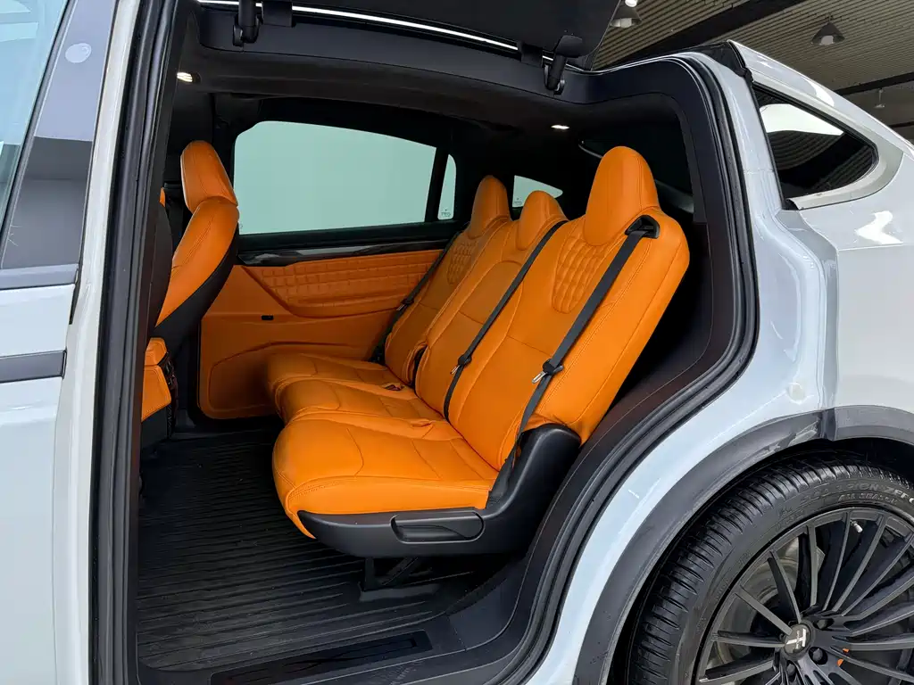 Tesla Model X 2020 — фото 18
