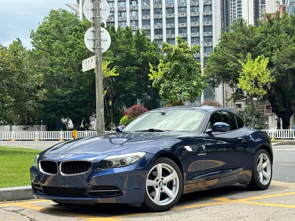 BMW Z4 2010