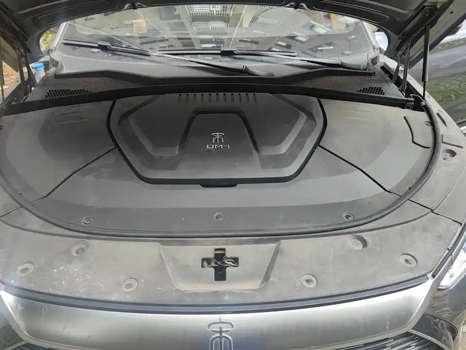 BYD PLUS New Energy 2023 — фото 10