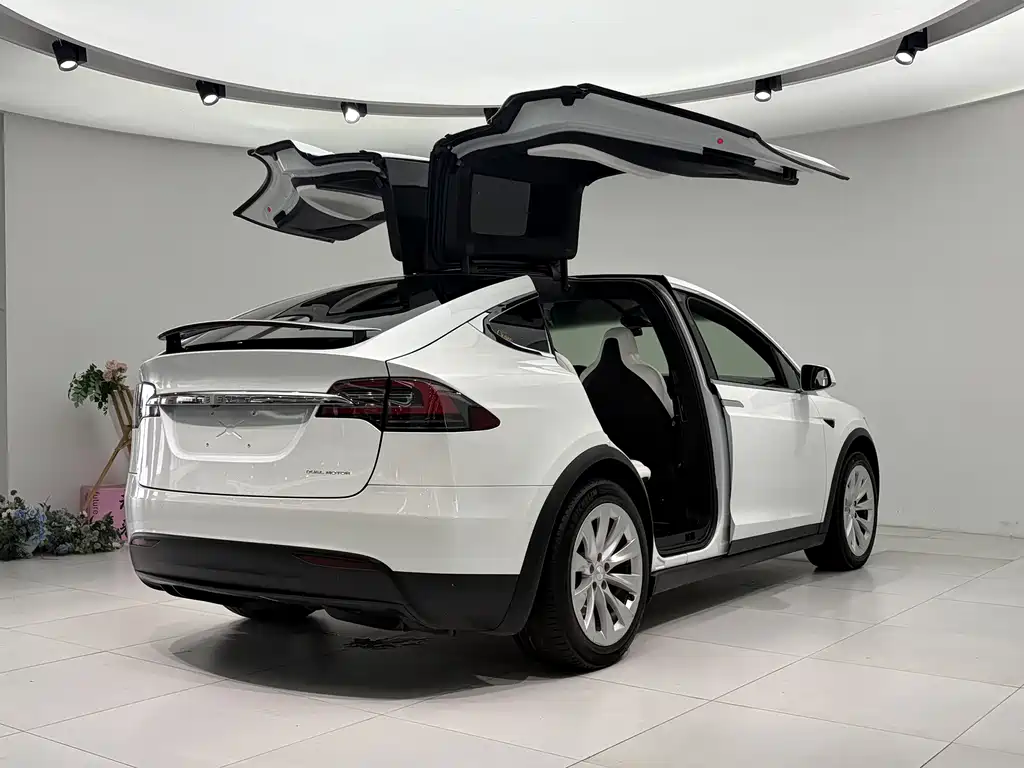 Tesla Model X 2019