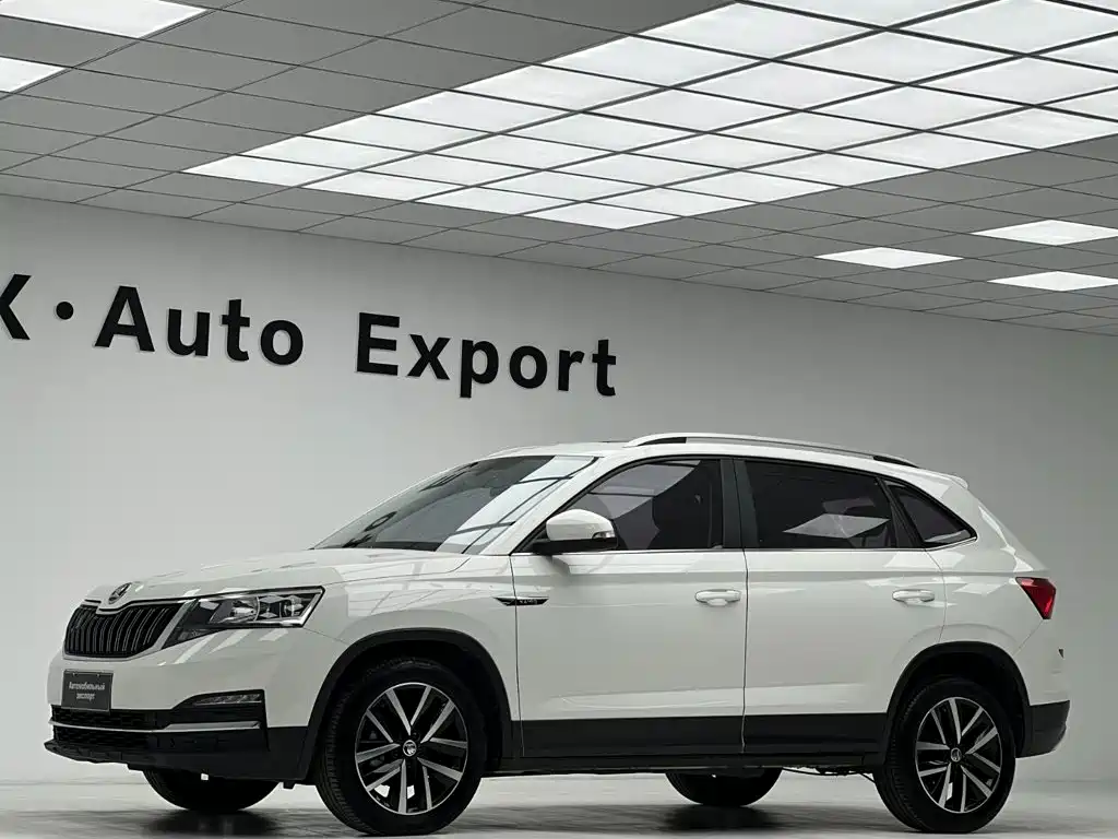Skoda Kamiq 2021 — фото 11