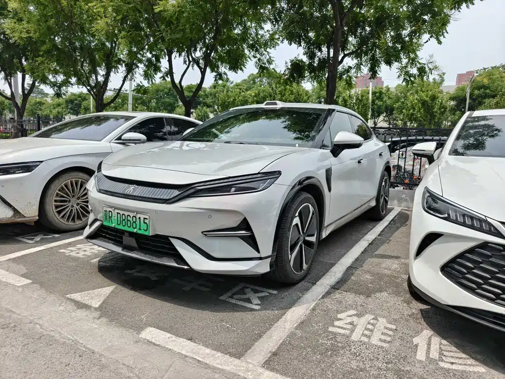 BYD L EV 2025