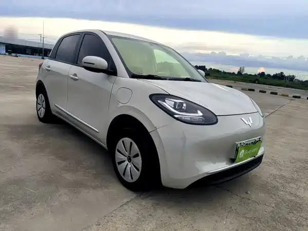 Wuling Bingo 2025