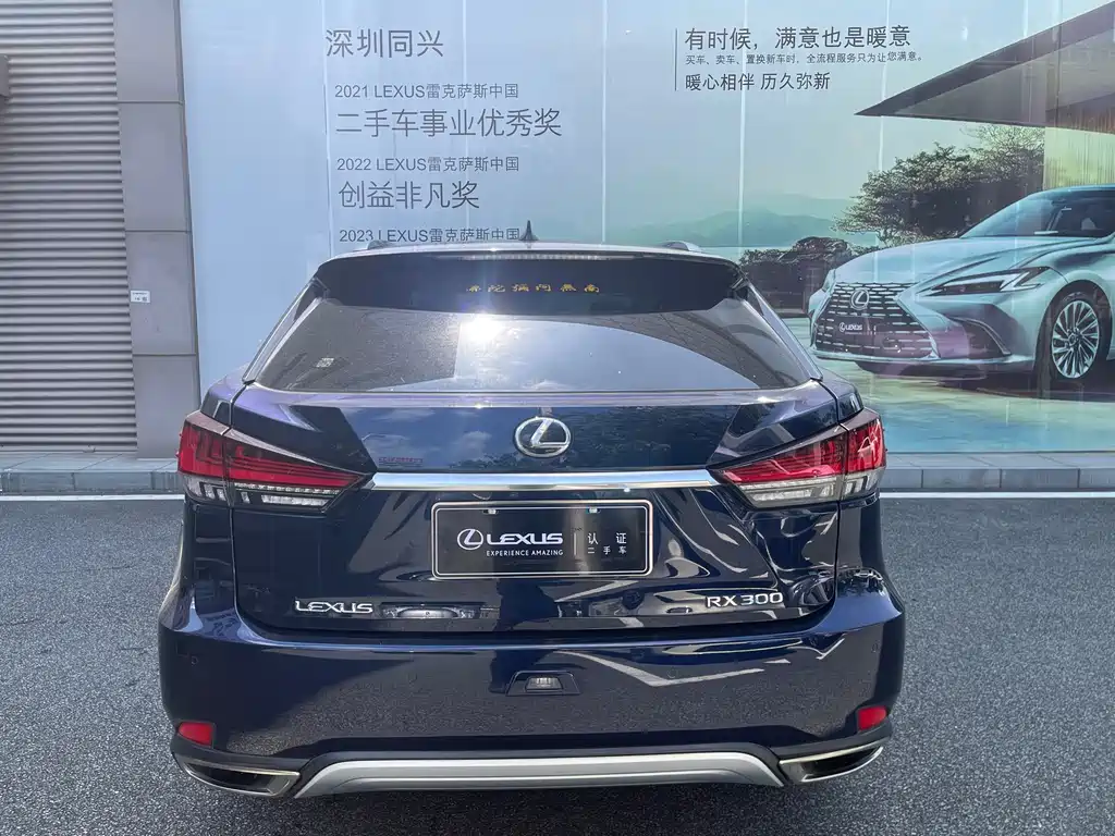 Lexus RX 2021 — фото 18
