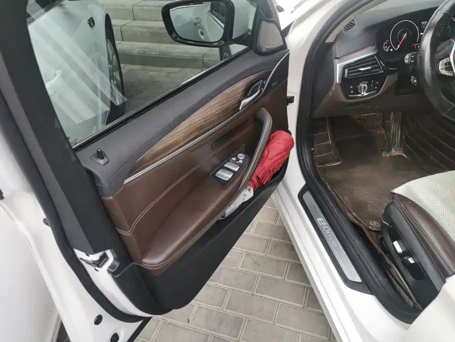 BMW 5 Series New Energy 2019