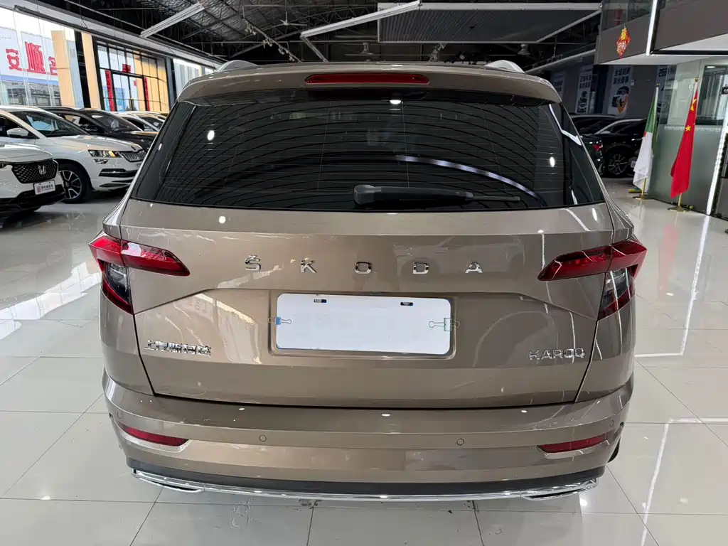 Skoda Karoq 2022 — фото 9