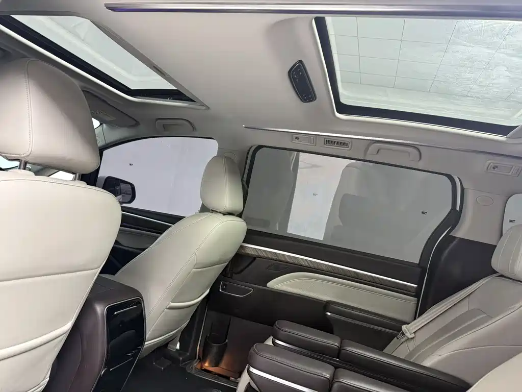 GAC Motor Trumpchi M8 2021 — фото 14