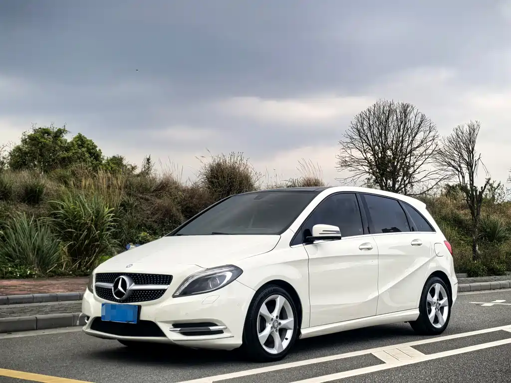 Mercedes-Benz B-Class 2014 — фото 1