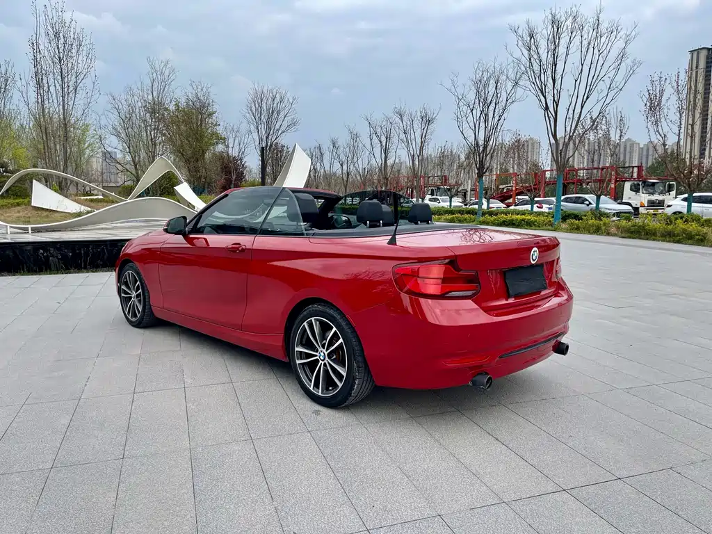 BMW 2 Series 2018 — фото 15