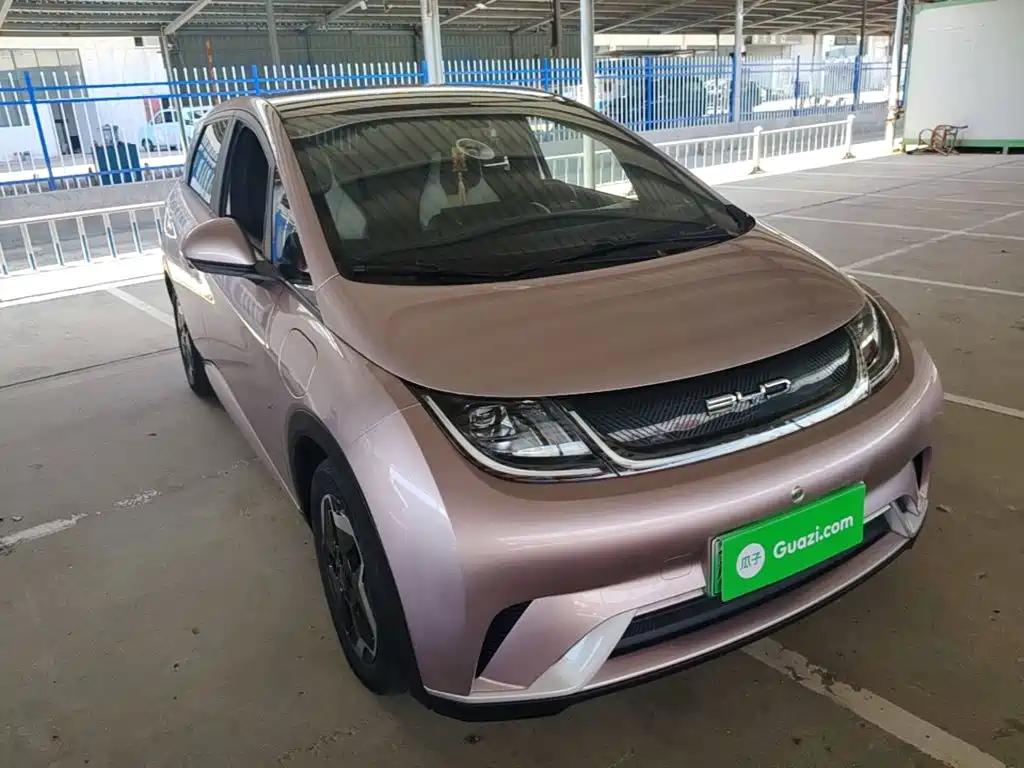 BYD Dolphin 2022