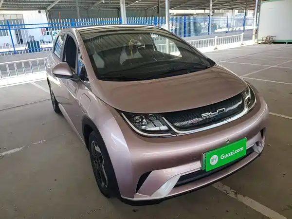 BYD Dolphin 2022