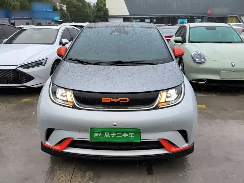 BYD Dolphin 2022