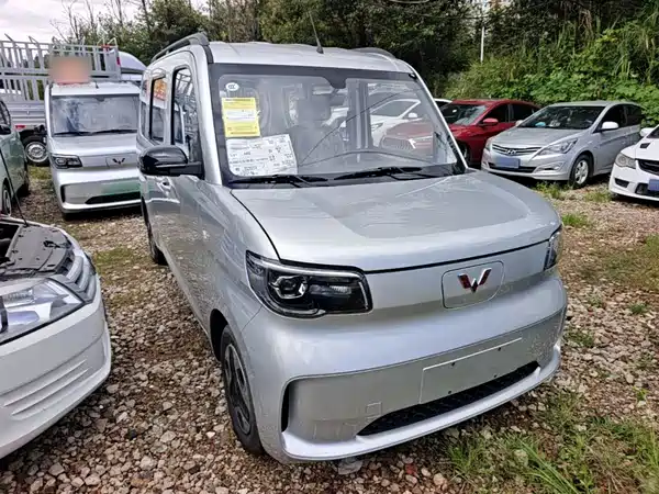 Wuling Zhiguang New Energy 2026