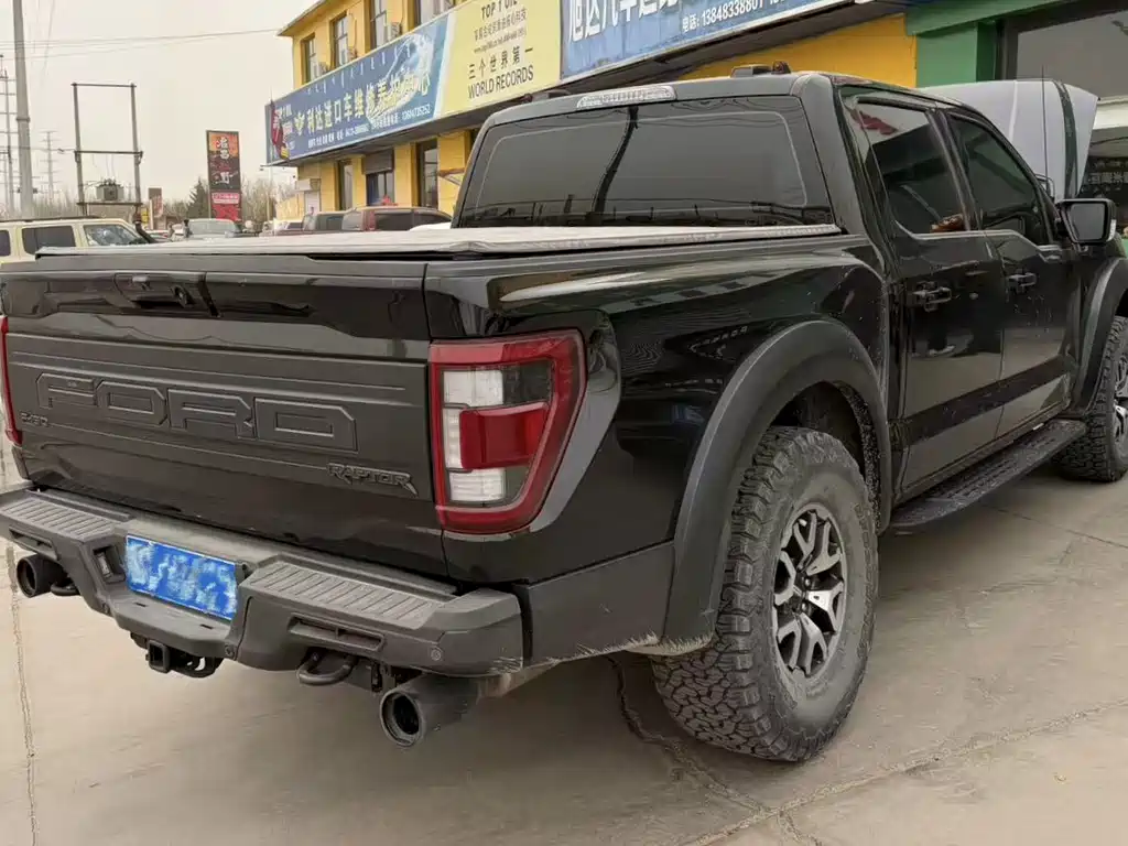 Ford F-150 Raptor 2024 — фото 4