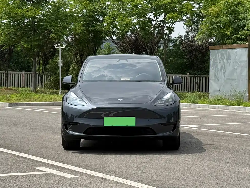 Tesla Model Y 2024 — фото 2
