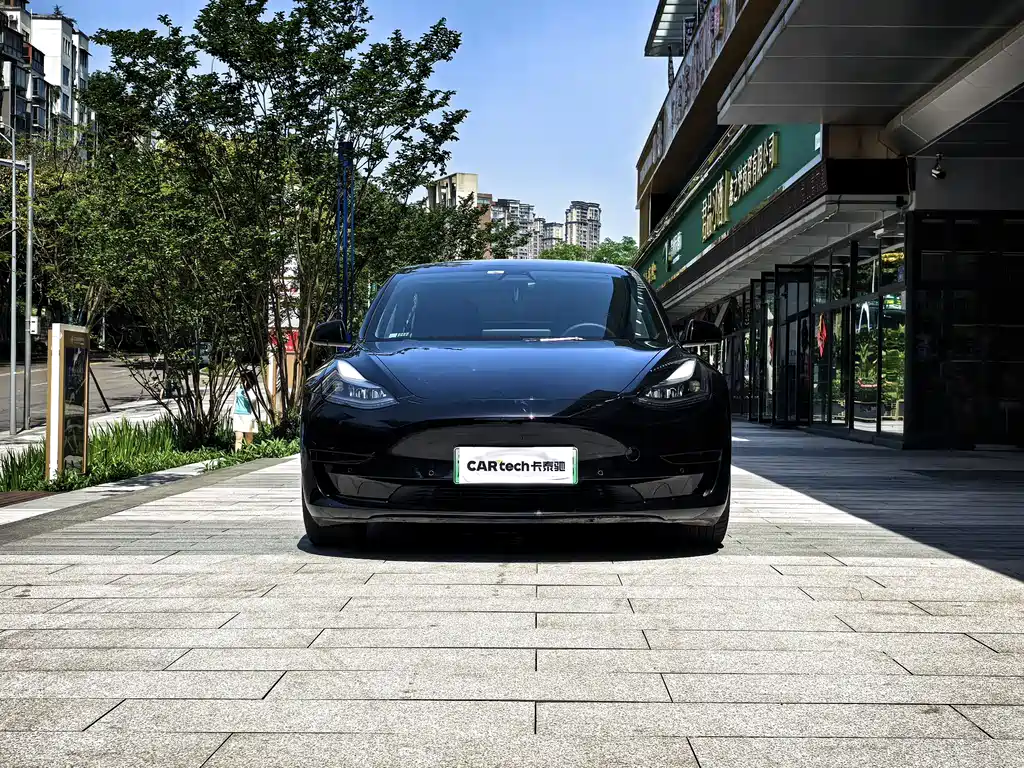 Tesla Model 3 2021 — фото 4