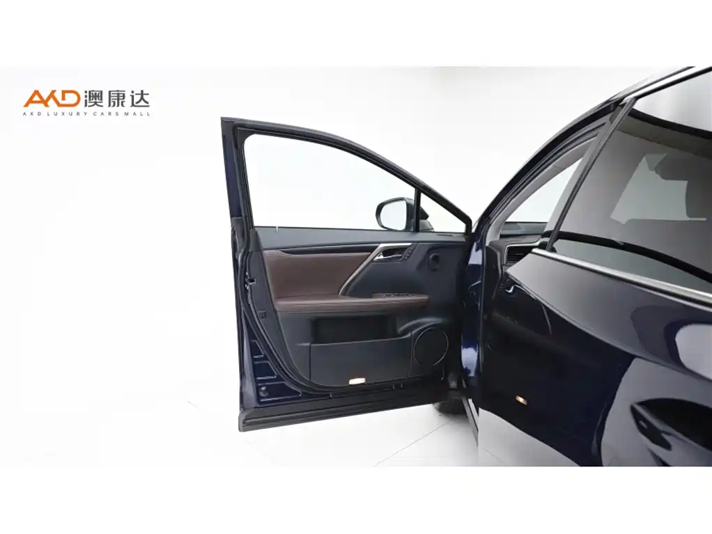 Lexus RX 2021 — фото 10